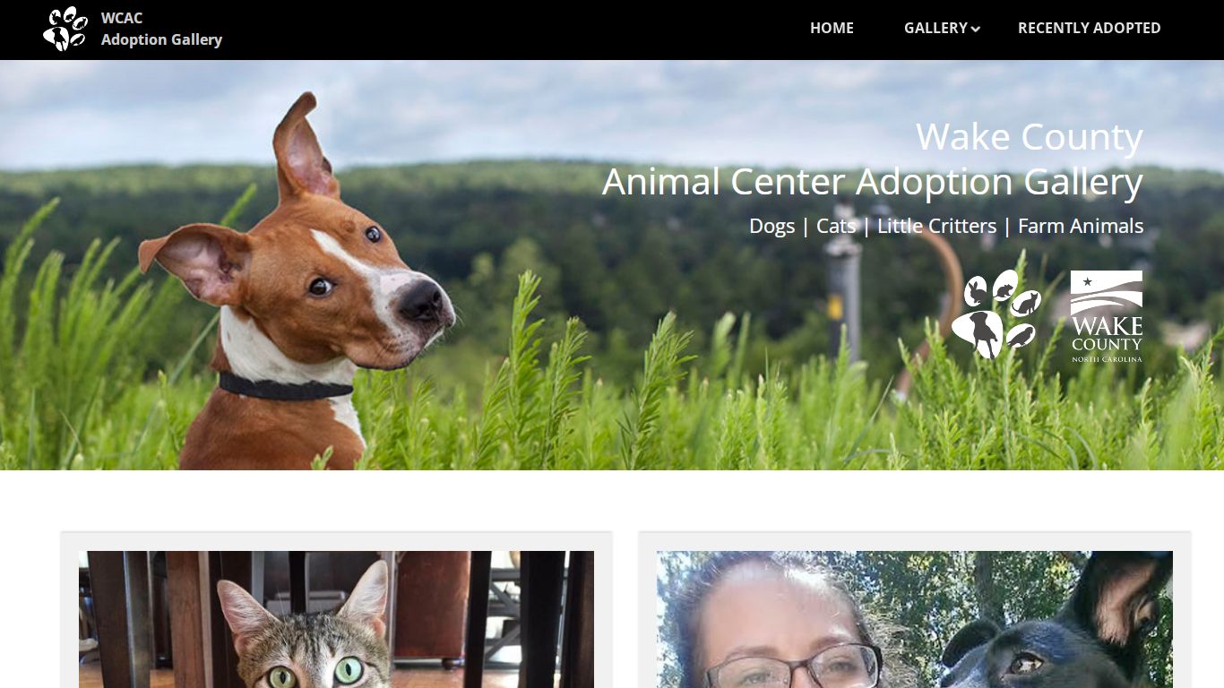 Wake County Animal Center Adoption Gallery